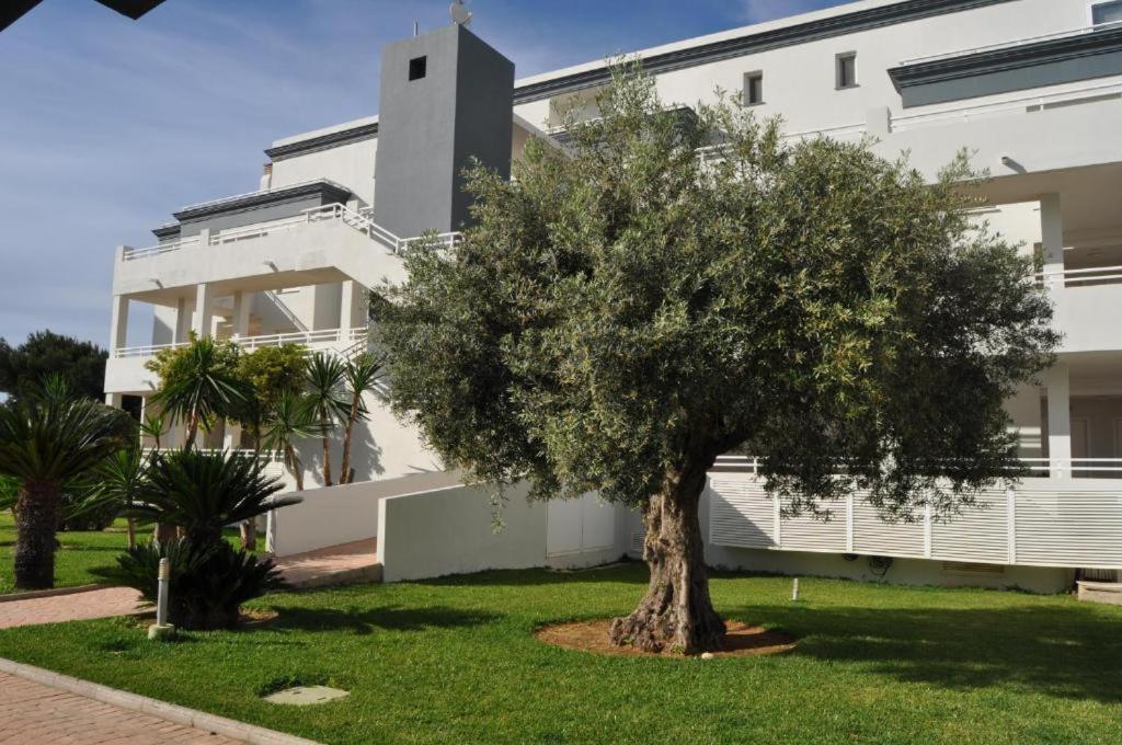 דירות Oasis Hoyo 12 - Oliva Nova Playa Met&Golf מראה חיצוני תמונה
