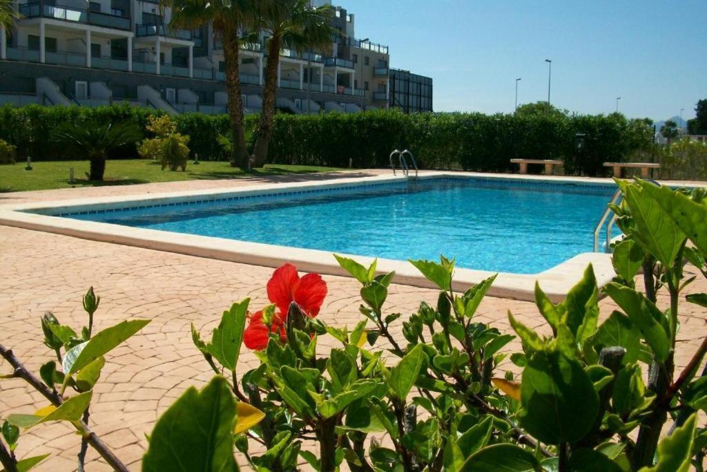 דירות Oasis Hoyo 12 - Oliva Nova Playa Met&Golf מראה חיצוני תמונה